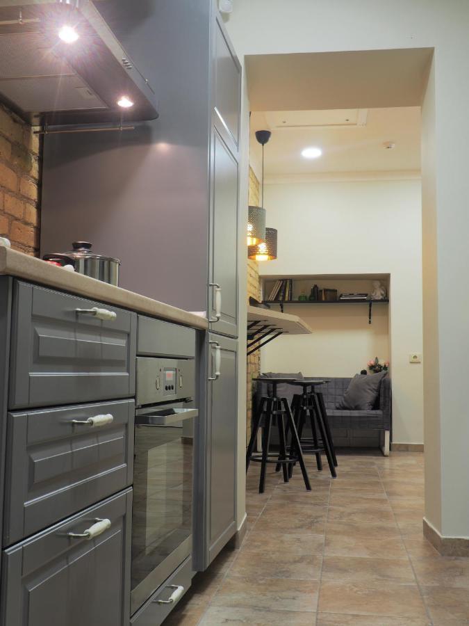 Emi Apartment 维尔纽斯 外观 照片